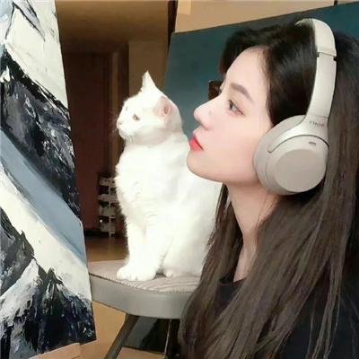 总统的蛋糕